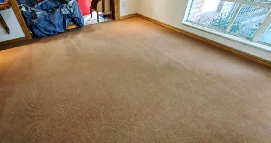 After image for Project 1: Before & After Transformation