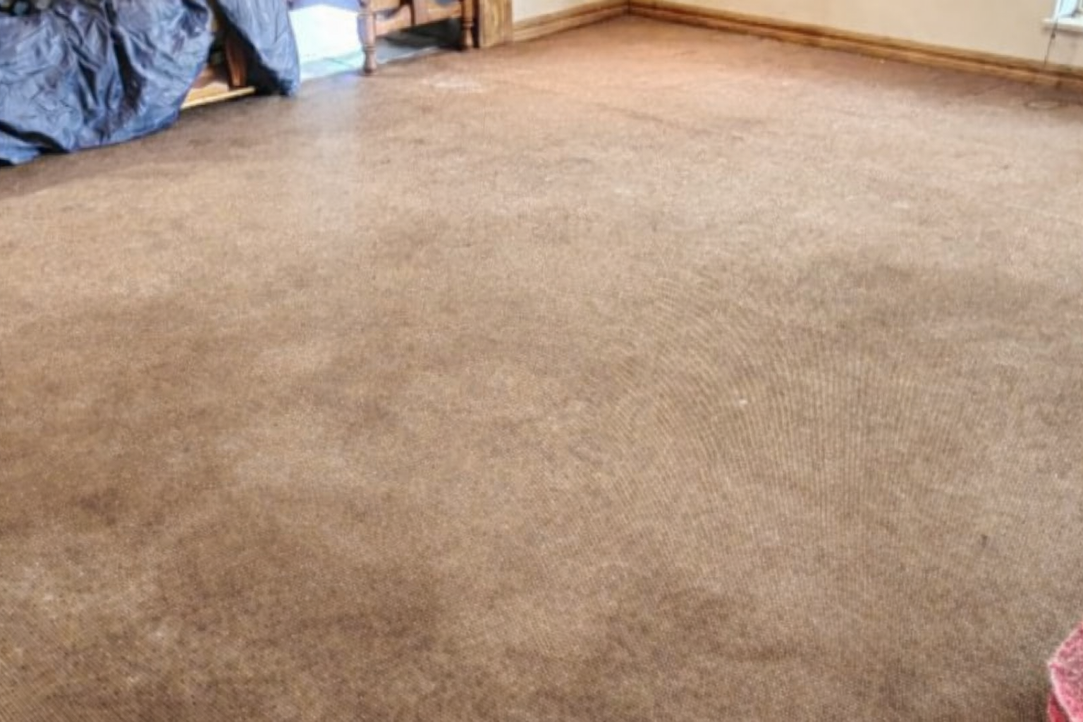 Before image for Project 1: Before & After Transformation